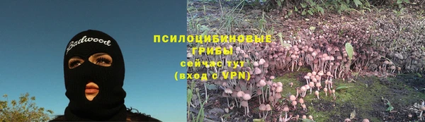 Альфа ПВП Магас