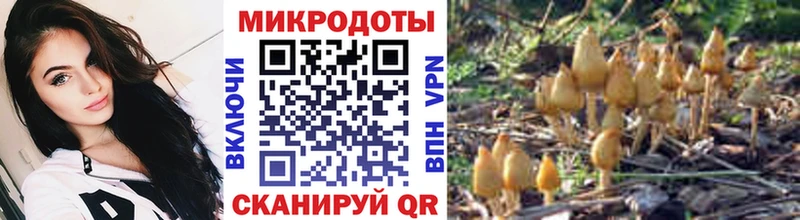 Галлюциногенные грибы Psilocybine cubensis  хочу наркоту  Белоусово 